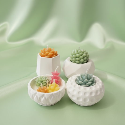 Mini Succulent Set